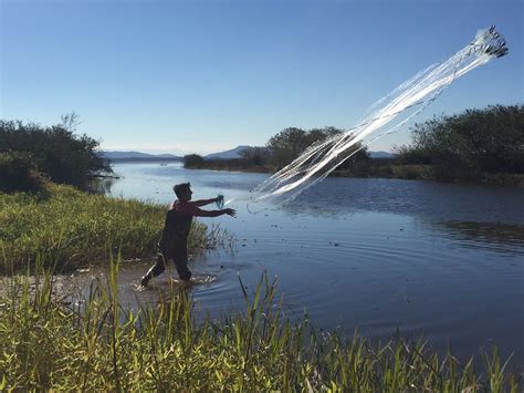 Arroz Lago De Pesca De Fenda De Tamanho