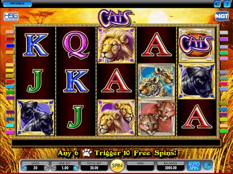 Casino Tragamonedas Gratis Gatos