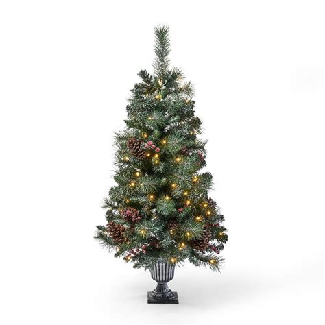 Christmas Tree Betsul