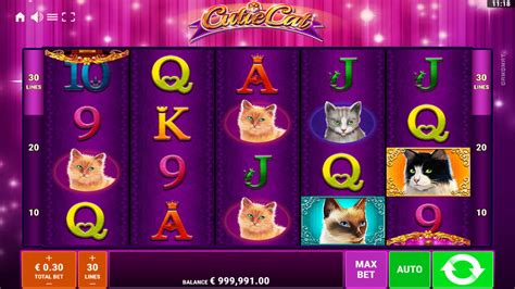 Cutie Cat Slot - Play Online