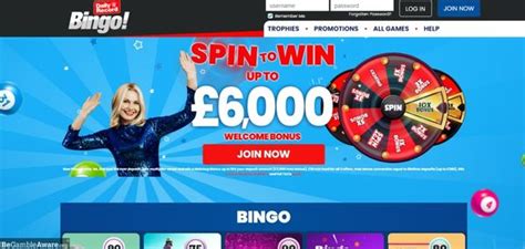 Daily Record Bingo Casino Apk