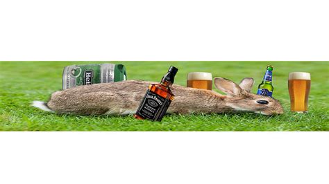 Drunk Rabbit Bet365