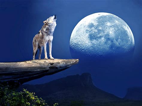 Howling At The Moon Blaze