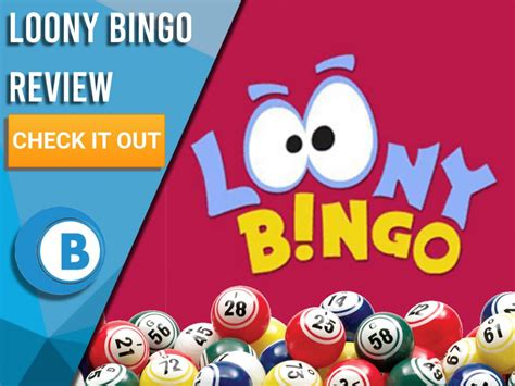 Loony Bingo Casino Apostas