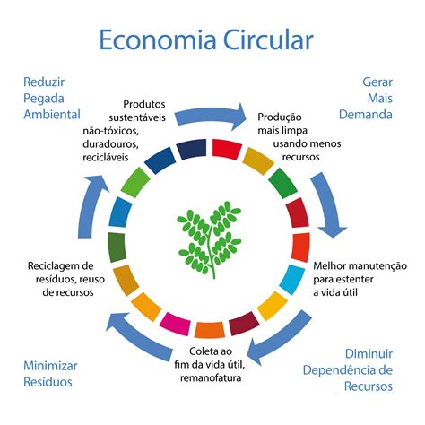 O Efeito Que O Jogo Tem No Estado E A Economia Local