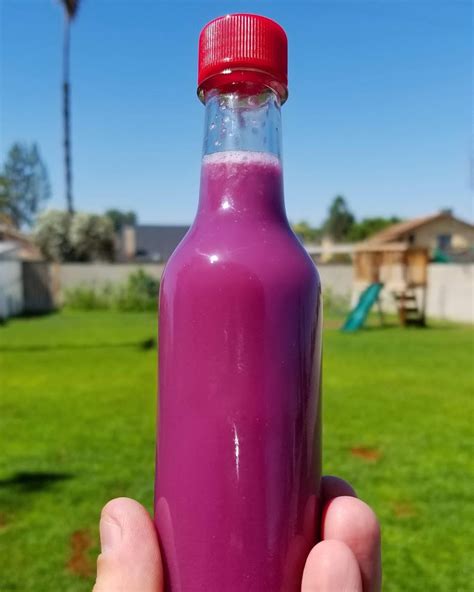 Purple Hot Betsul