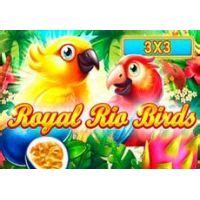 Royal Rio Birds 3x3 Blaze