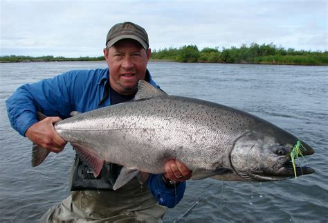 Salmon Catch Betsson