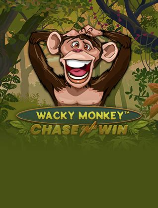 Wacky Monkey Blaze